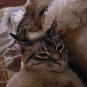 Meet your Posher, Scott